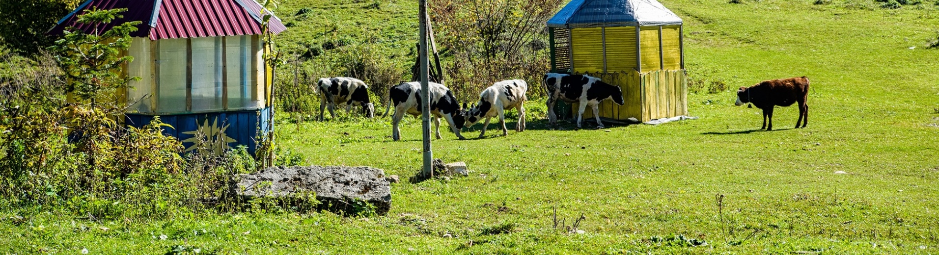 Ferme russe