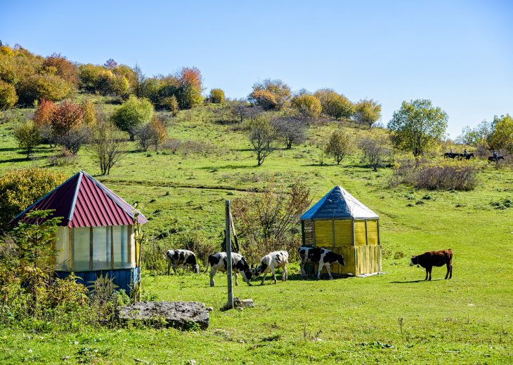 Ferme russe