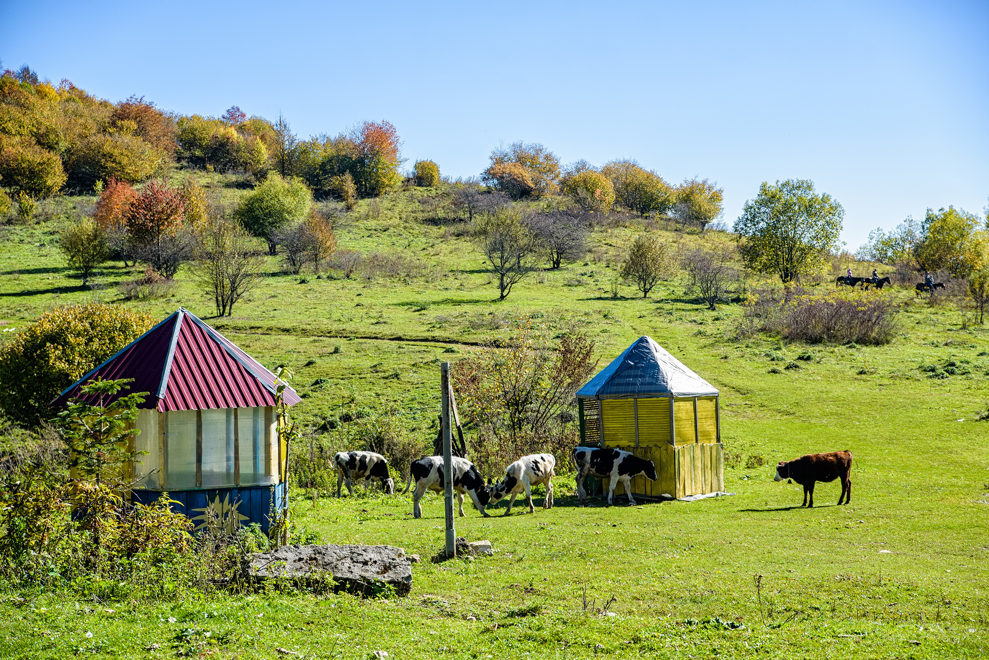 Ferme russe