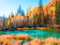 Lac Geyser, Altaï