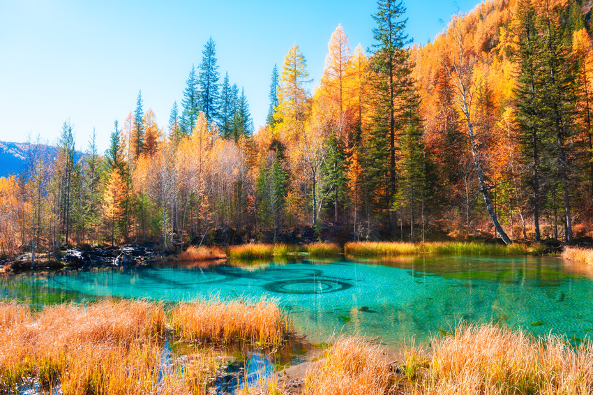 Lac Geyser, Altaï